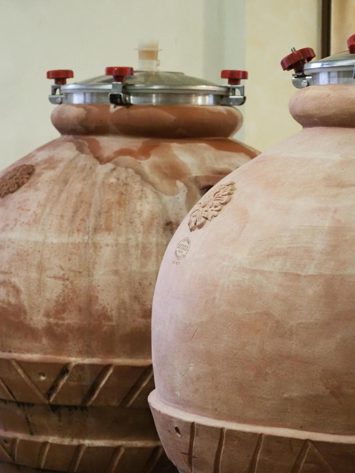 Azienda Agricola Ca' Lunga Cinto Euganeo المظهر الخارجي الصورة