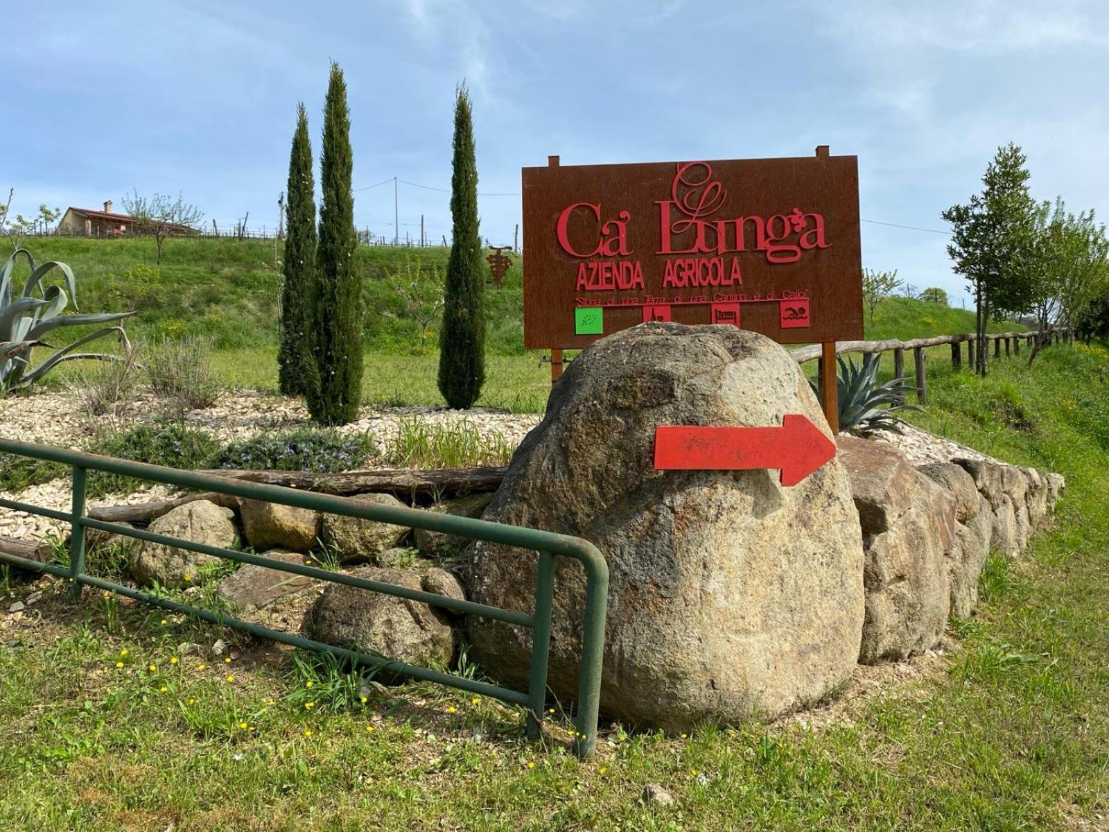 Azienda Agricola Ca' Lunga Cinto Euganeo المظهر الخارجي الصورة